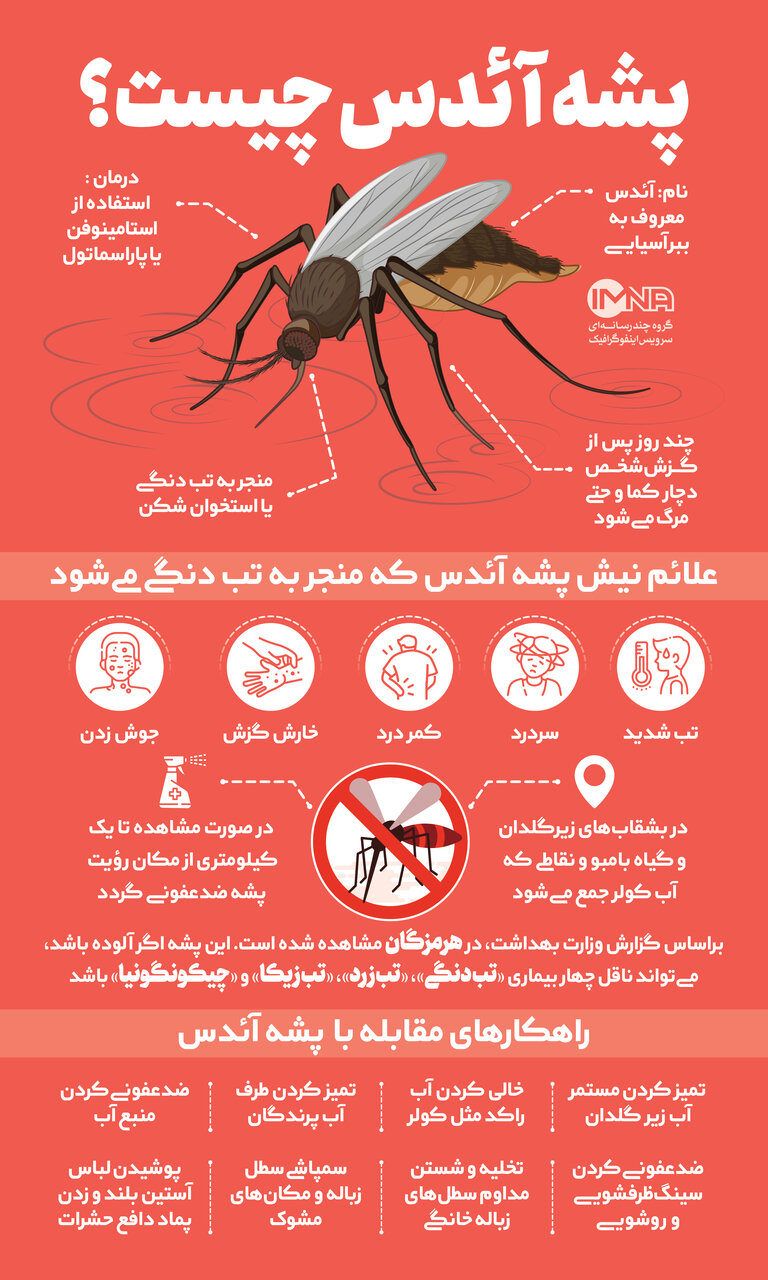 آشنایی با بیماری‌های ناشی از گزش پشه آئدس
